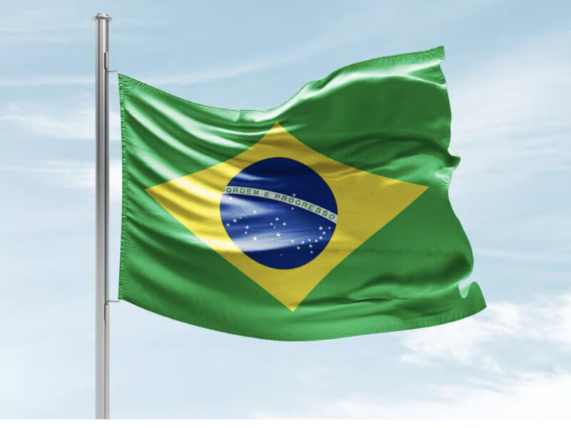 Brazil Institutes Filed Lawsuits Against The Social Media Giants To Prevent Social Media Overuse Among Minors